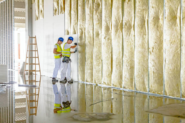Best Residential Insulation in Glasgow, DE